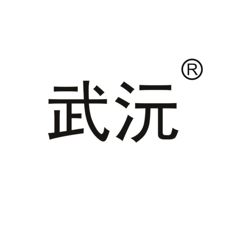 武沅