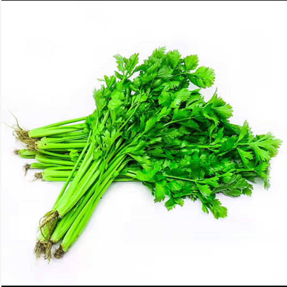 湖南耒阳芹菜6.5/斤