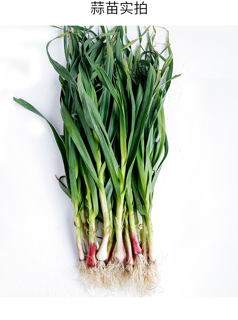 资阳区湘益资大蒜叶1斤