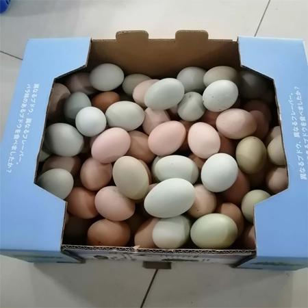 浏阳绿壳鸡蛋/乌鸡蛋2元/个