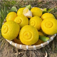 【99元15斤】【水果组合】麻阳黄金贡柚10斤 冰糖橙5斤￥99￥118常德