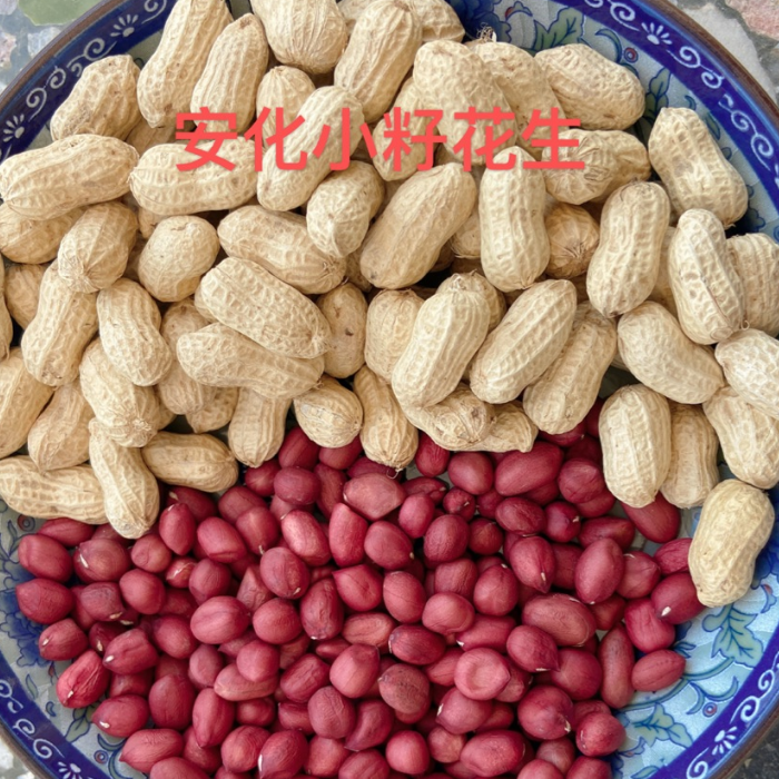 安化县水溪坪种植专业合作社红皮小籽花生5kg/件